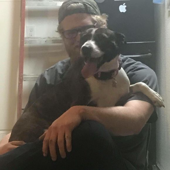 Meet your Posher, Collin - Picture 1 of 1